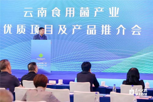 云南食用菌产业化合作新篇章 闽滇携手助推数字农业与品质升级